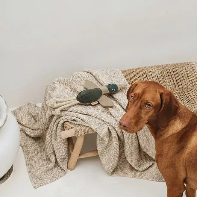 Hundespielzeug aus Leder "Ente"