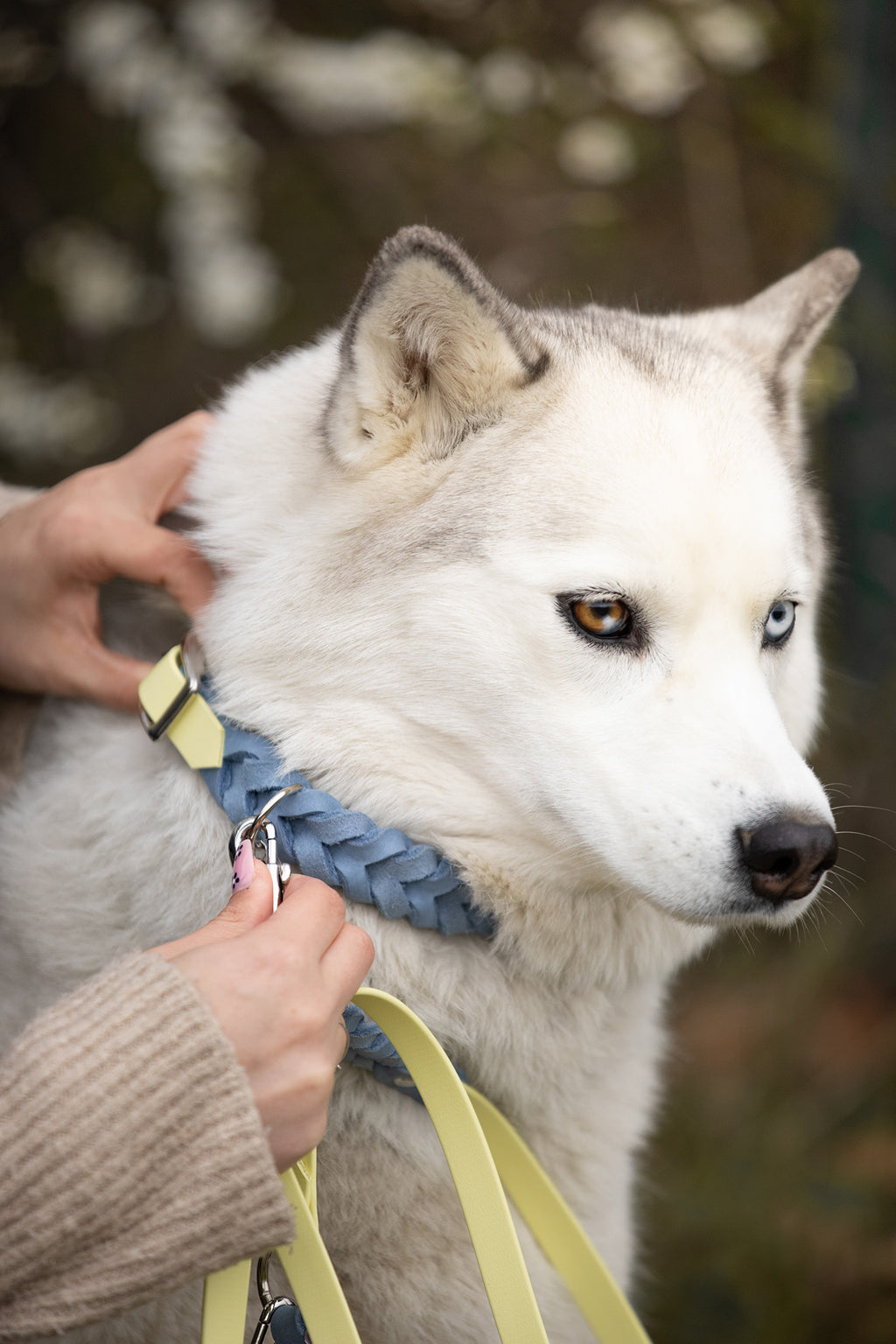 Noble Halsband – Lemon Sky