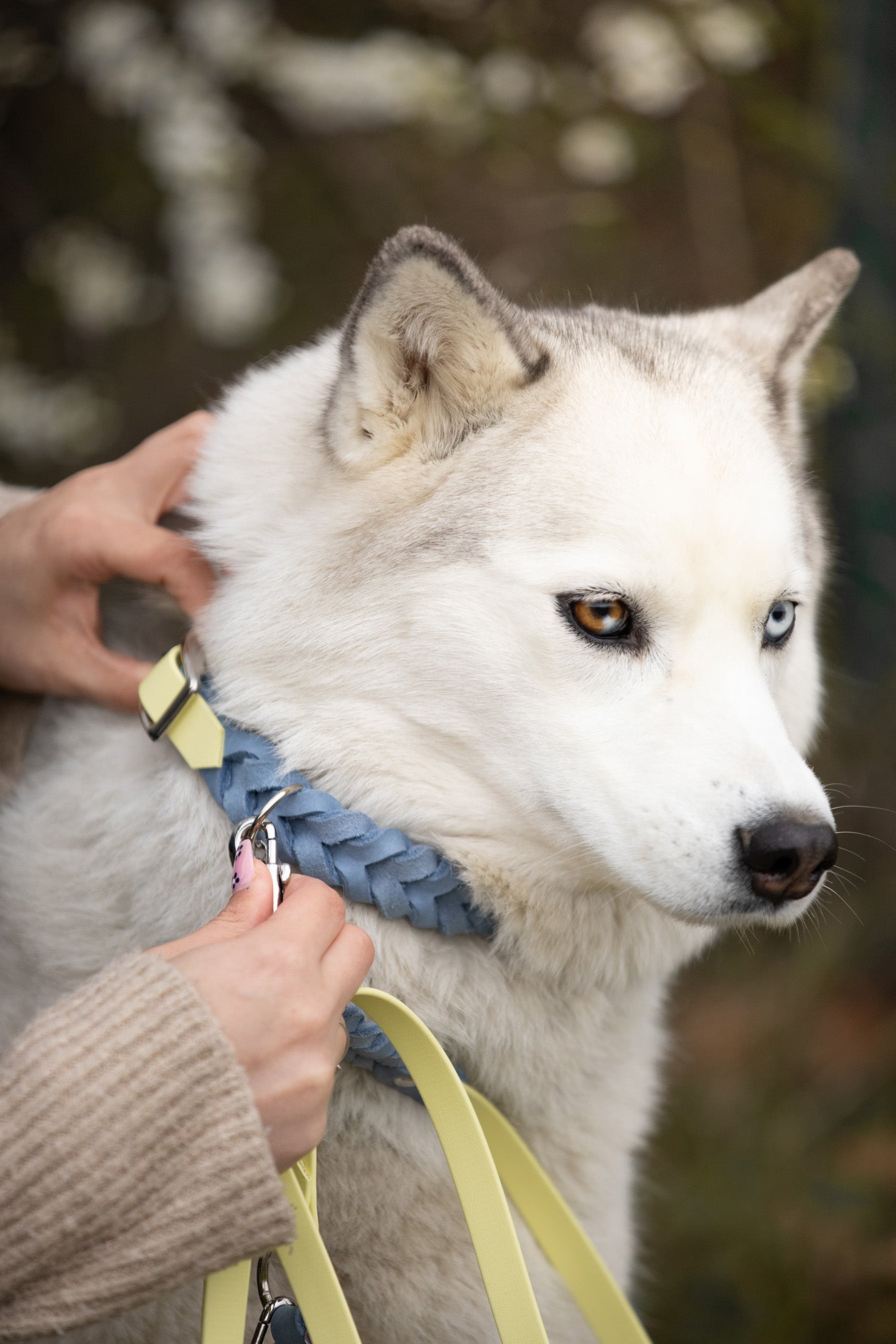 Noble Halsband – Lemon Sky