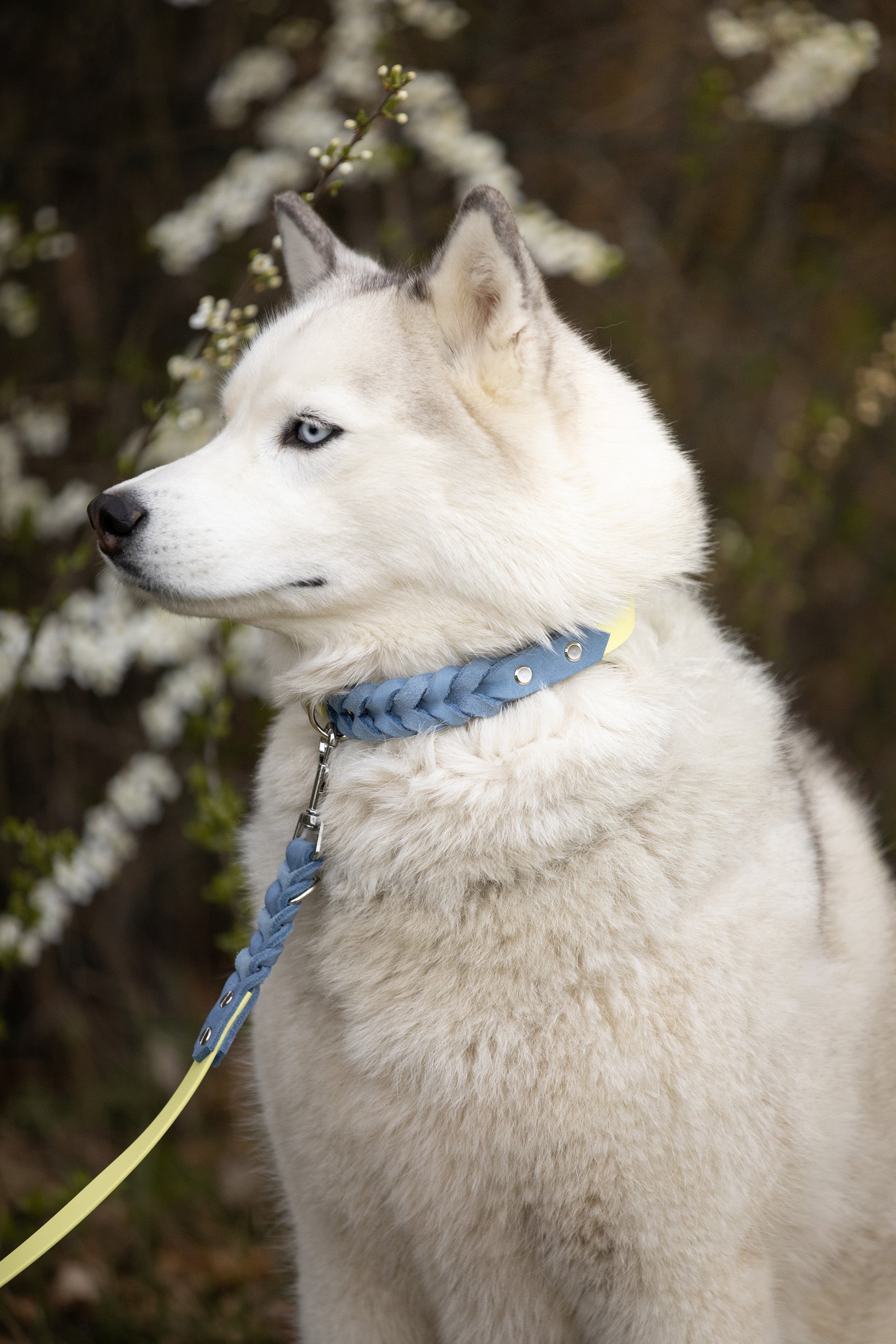 Noble Halsband – Lemon Sky