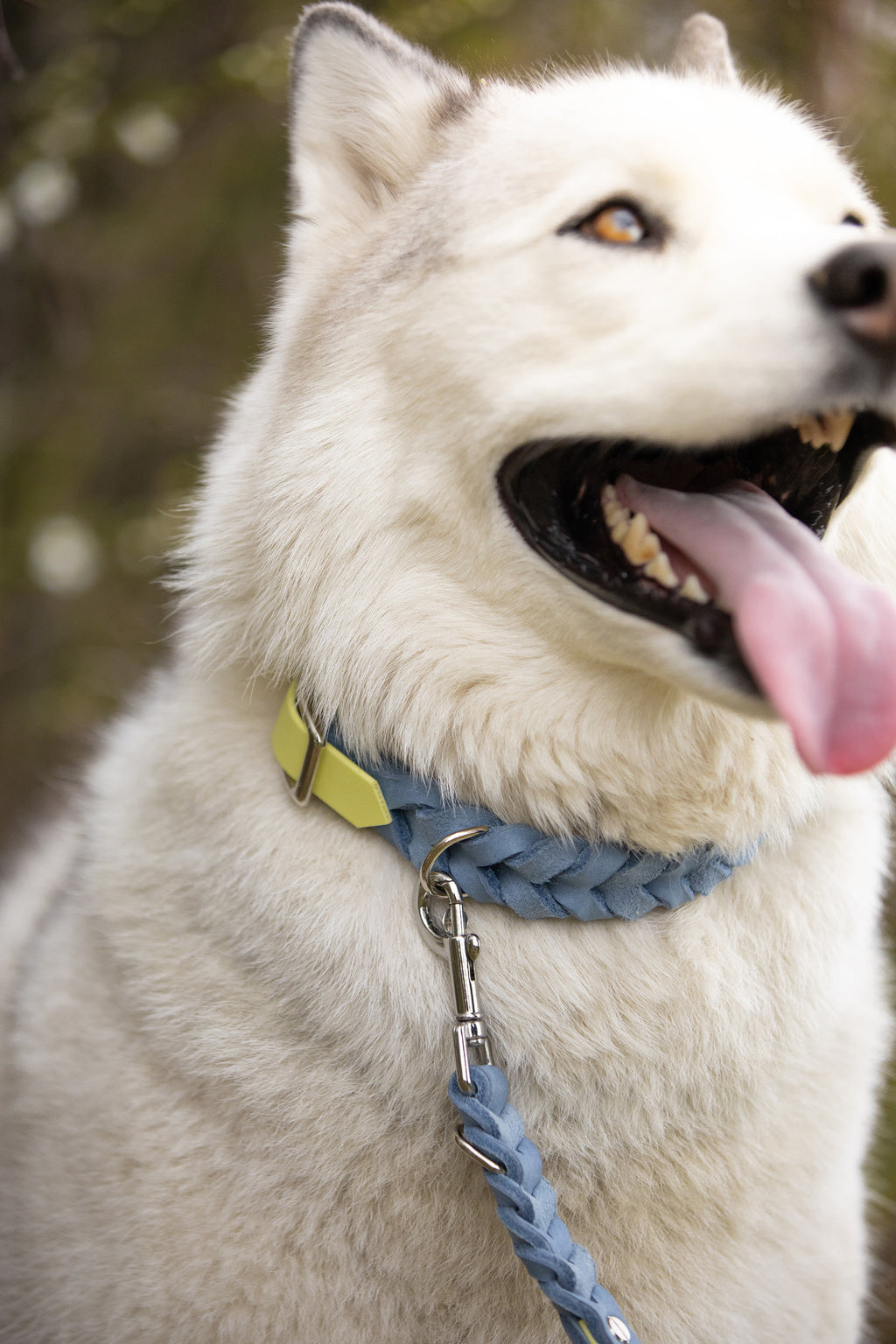 Noble Halsband – Lemon Sky