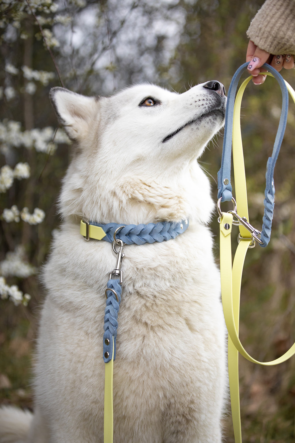 Noble Halsband – Lemon Sky