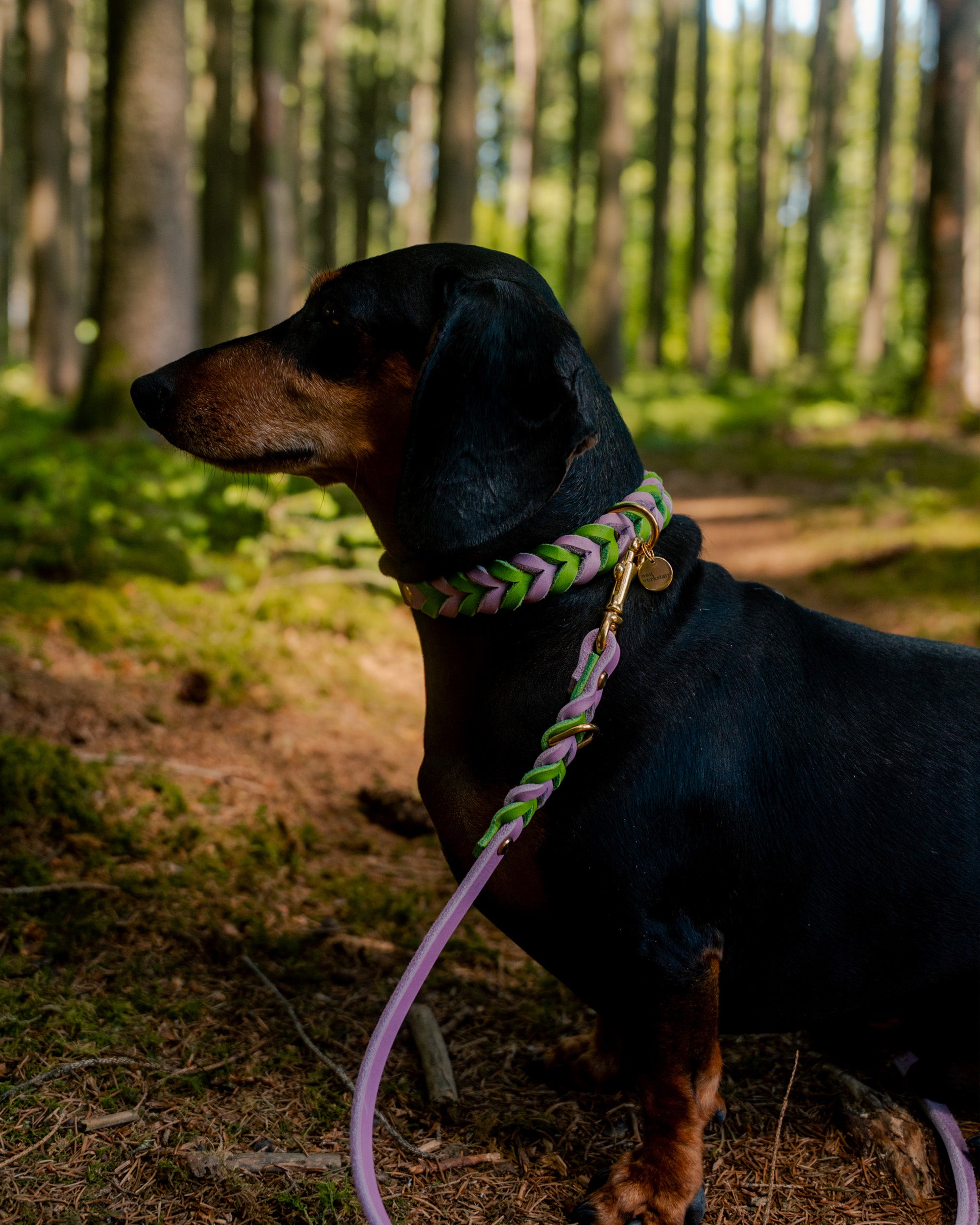 Geflochtenes Heritage Halsband - Lavender Matcha