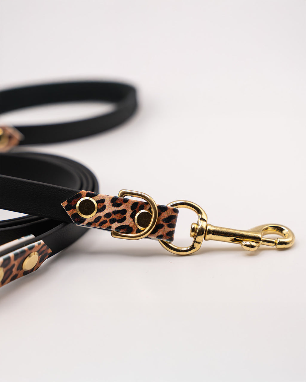 Konfigurator - Adventure Leine – Leo Edition