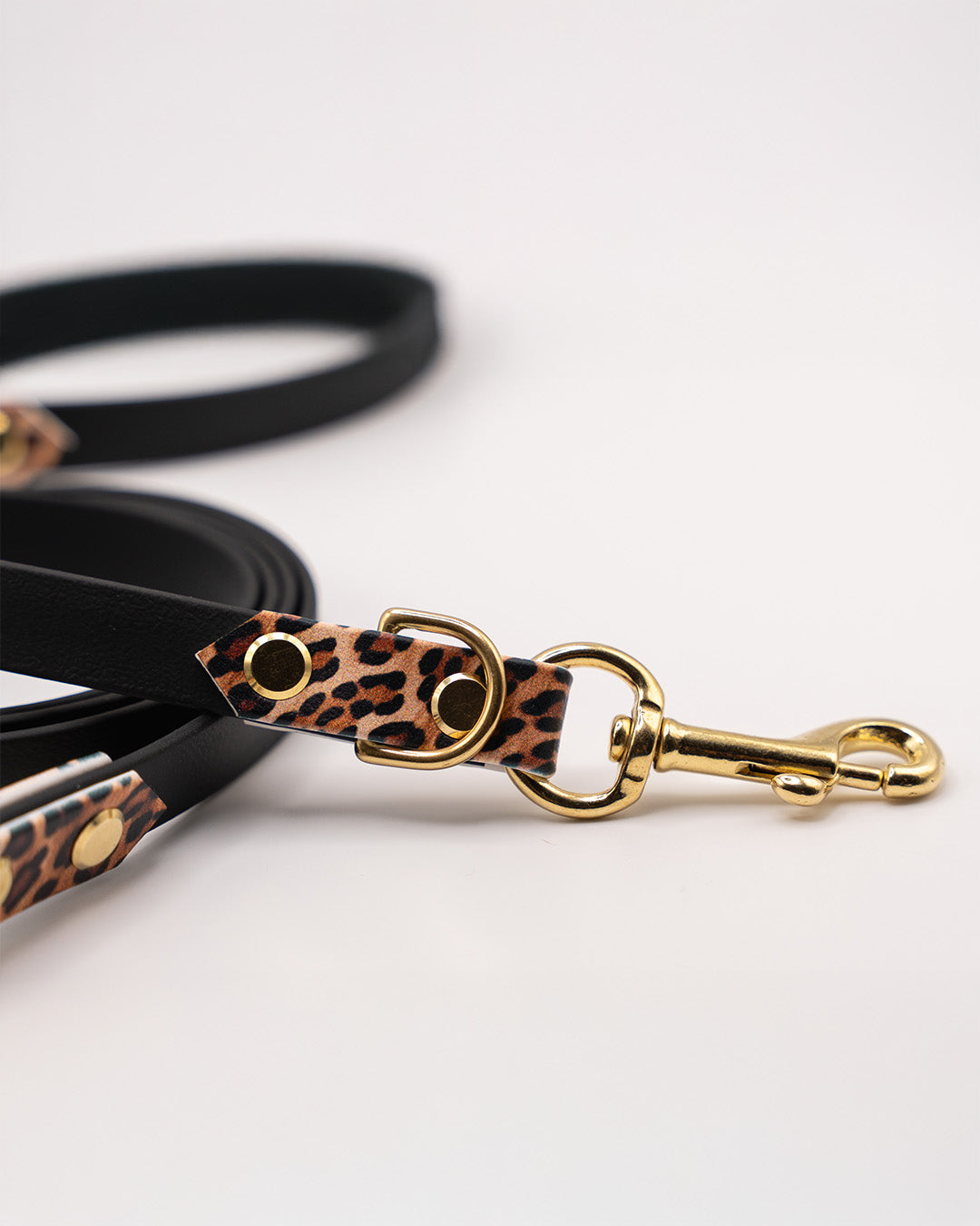 Konfigurator - Adventure Leine – Leo Edition