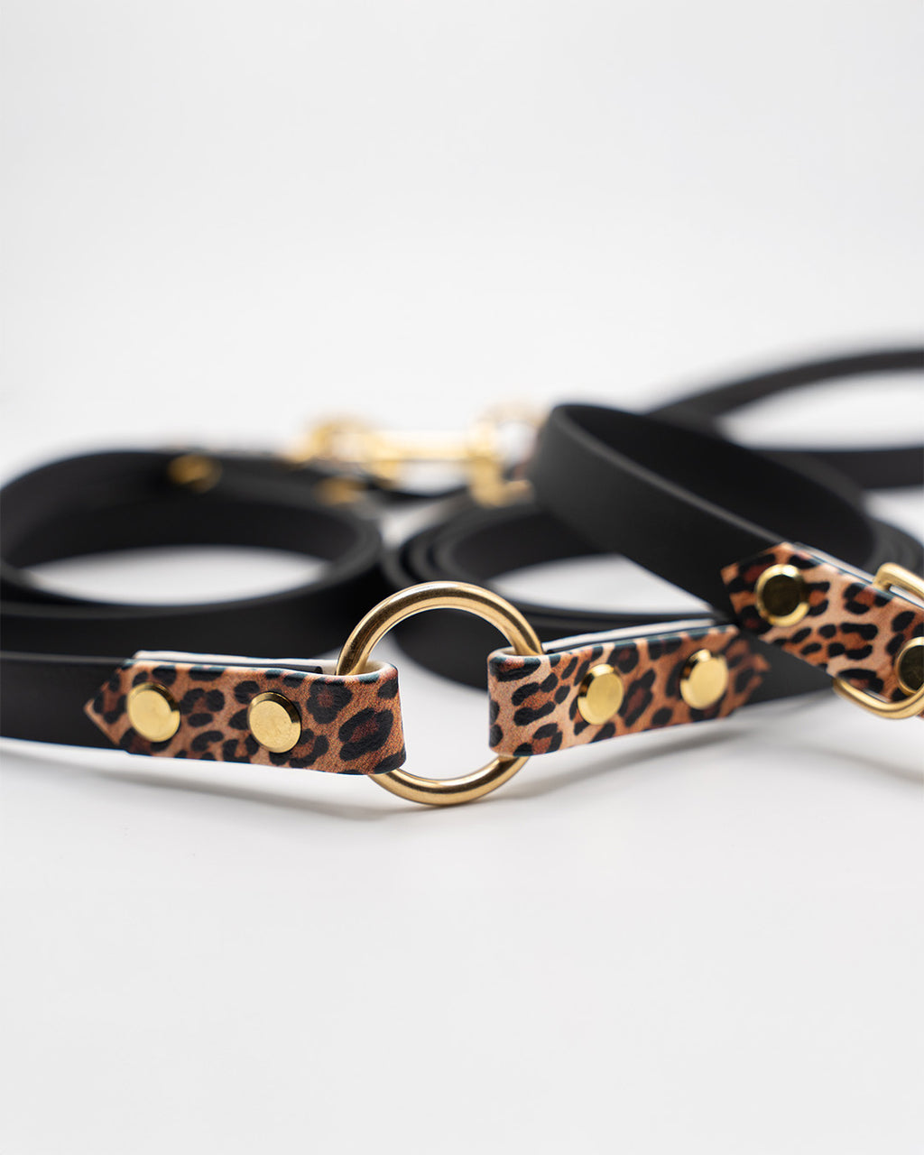 Konfigurator - Adventure Leine – Leo Edition