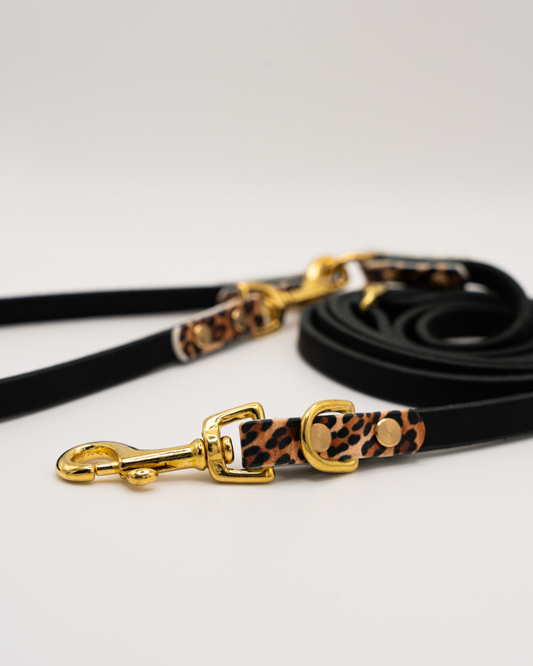 Konfigurator - Leder Leine – Leo Edition