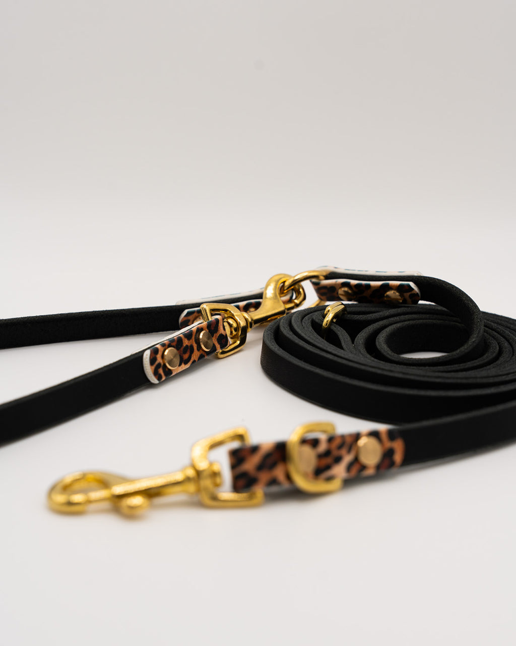 Konfigurator - Leder Leine – Leo Edition