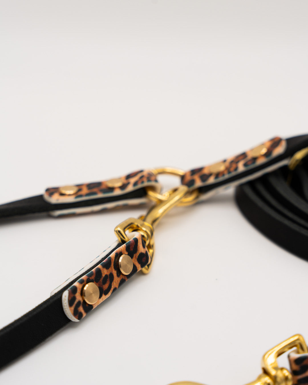 Konfigurator - Leder Leine – Leo Edition