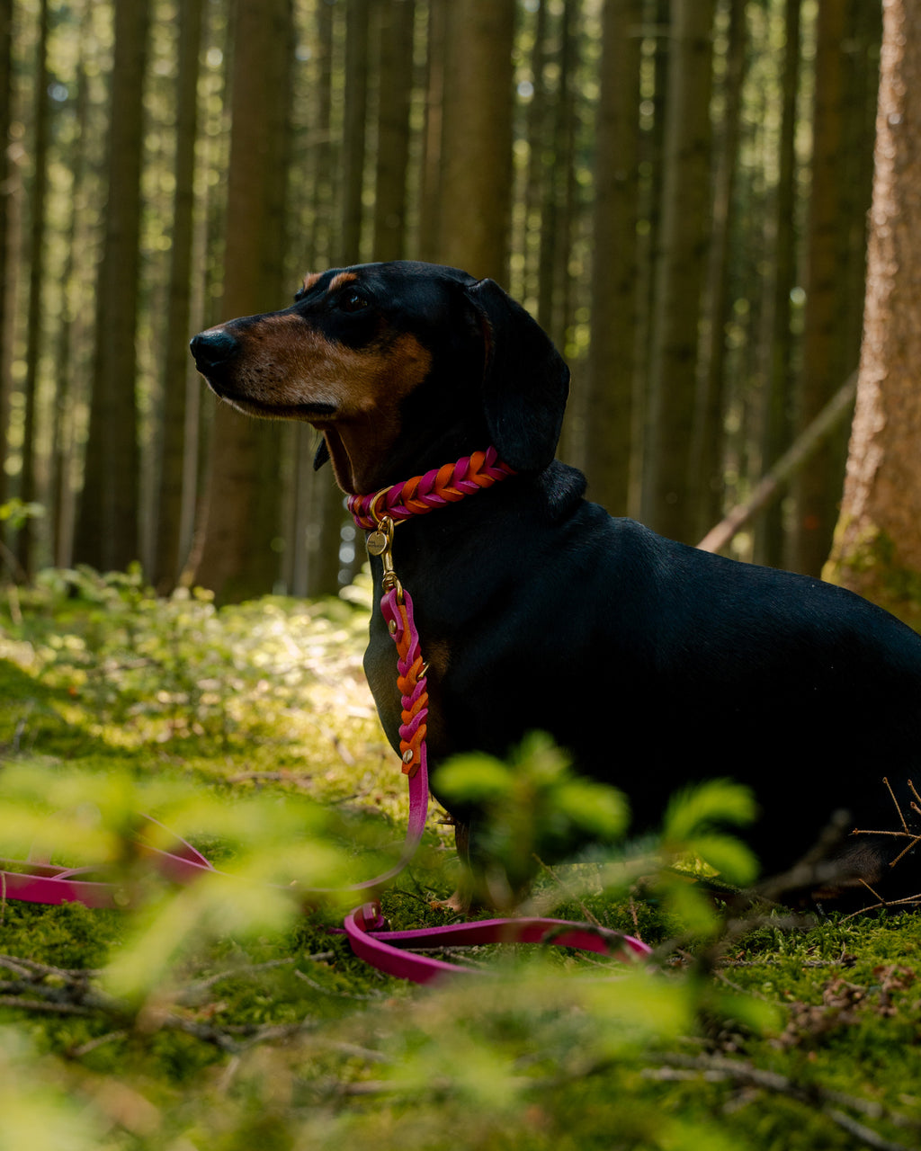 Geflochtenes Heritage Halsband - Pink Spritz