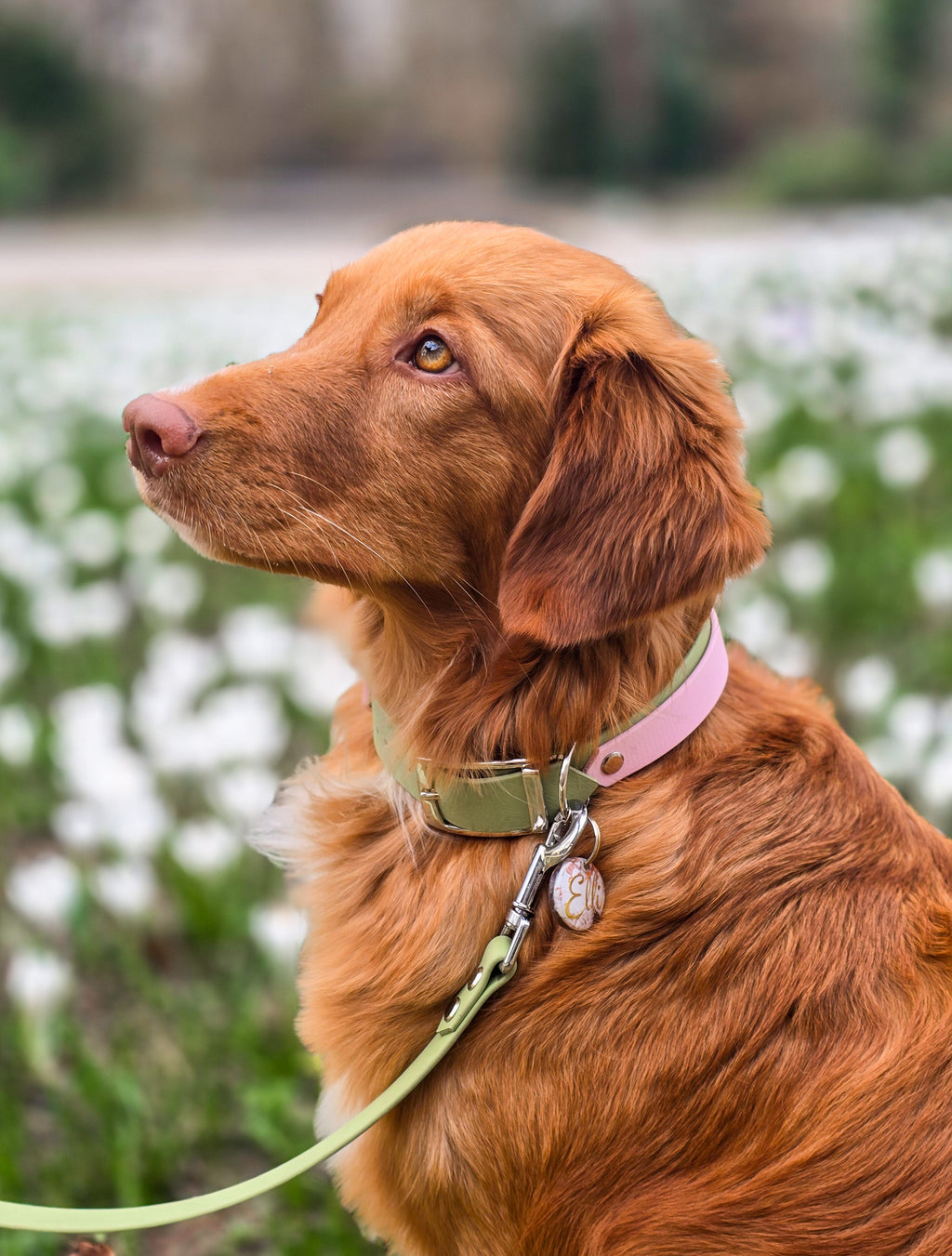 Adventure Halsband – Spring Blossom