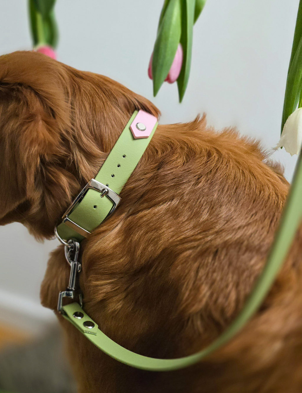 Adventure Halsband – Spring Blossom