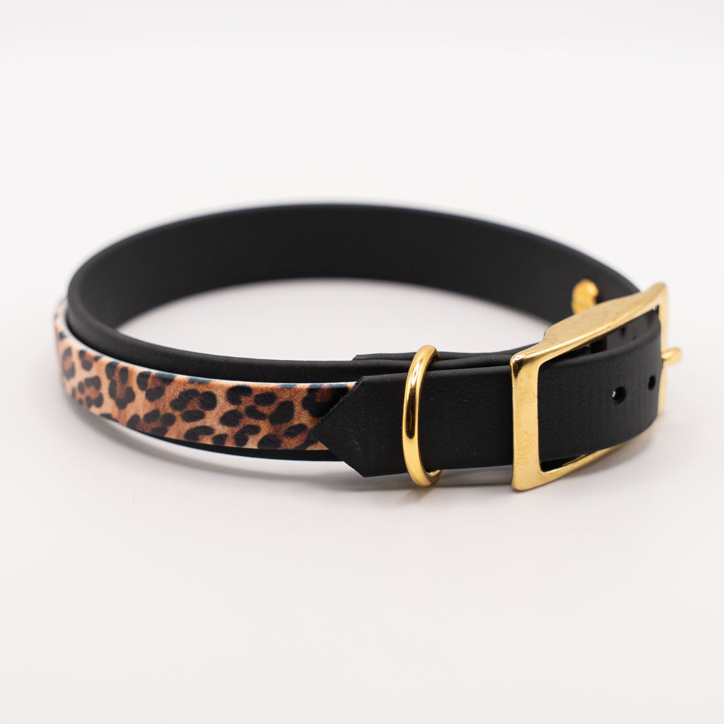 Adventure Halsband – Leo Sondervariante