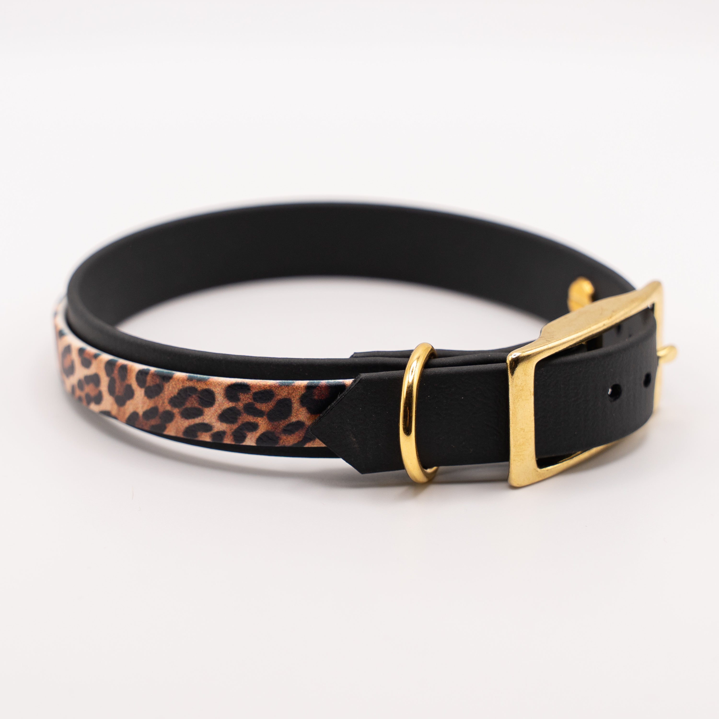 Adventure Halsband – Leo Sondervariante