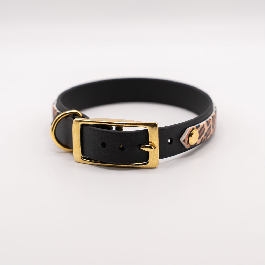 Adventure Halsband – Leo Sondervariante