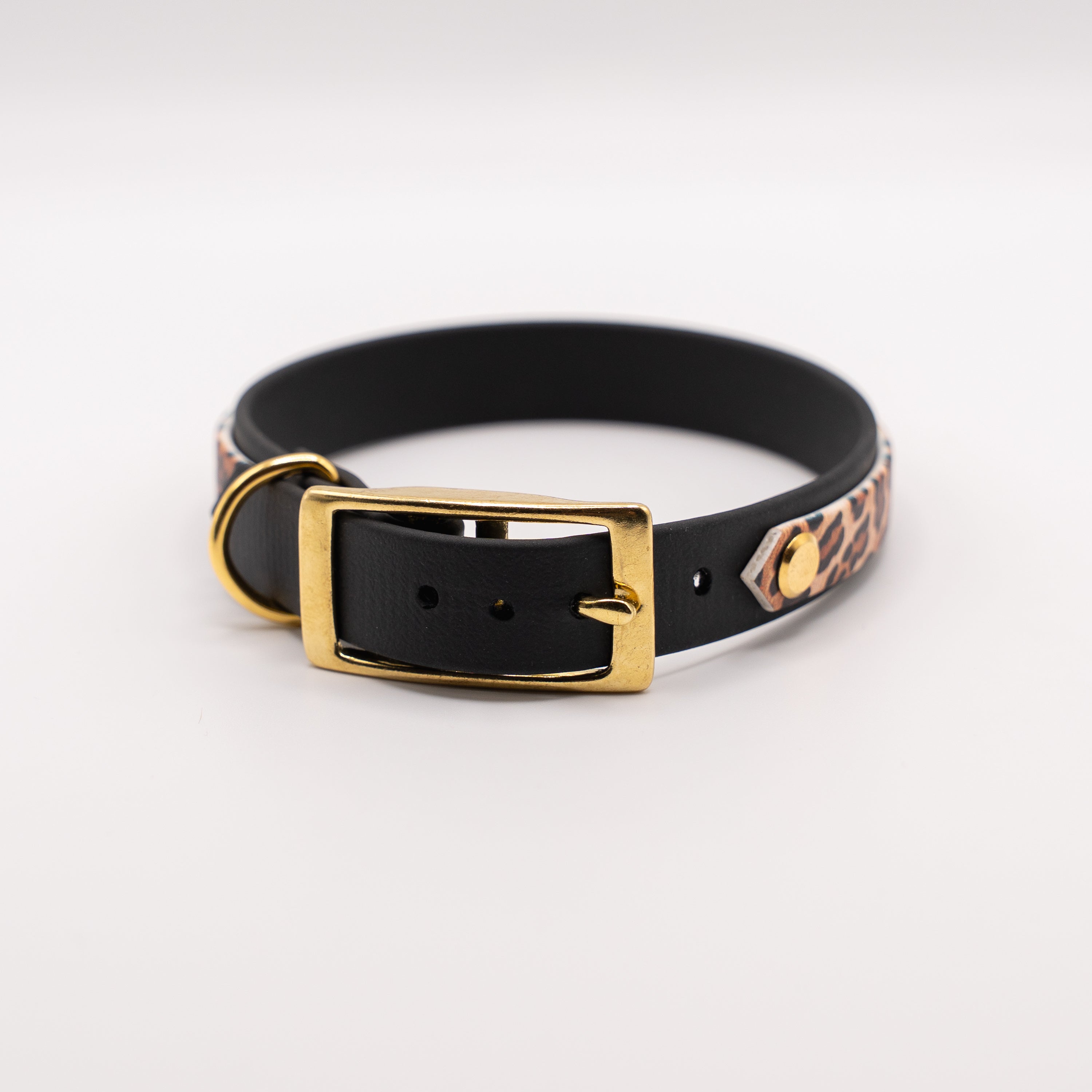 Adventure Halsband – Leo Sondervariante