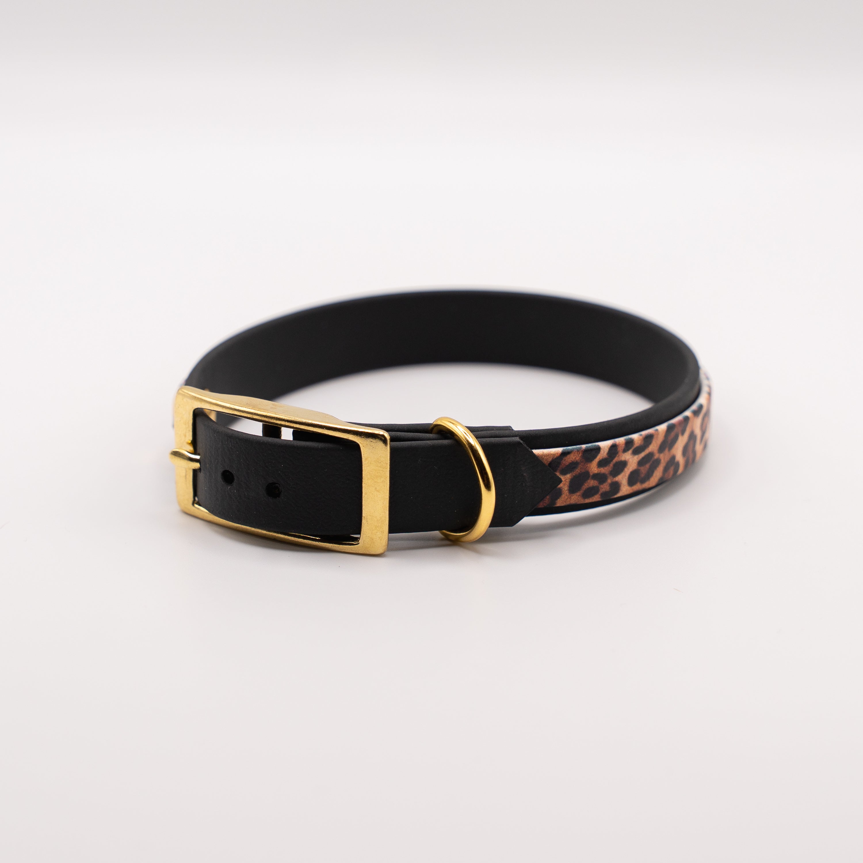 Adventure Halsband – Leo Sondervariante