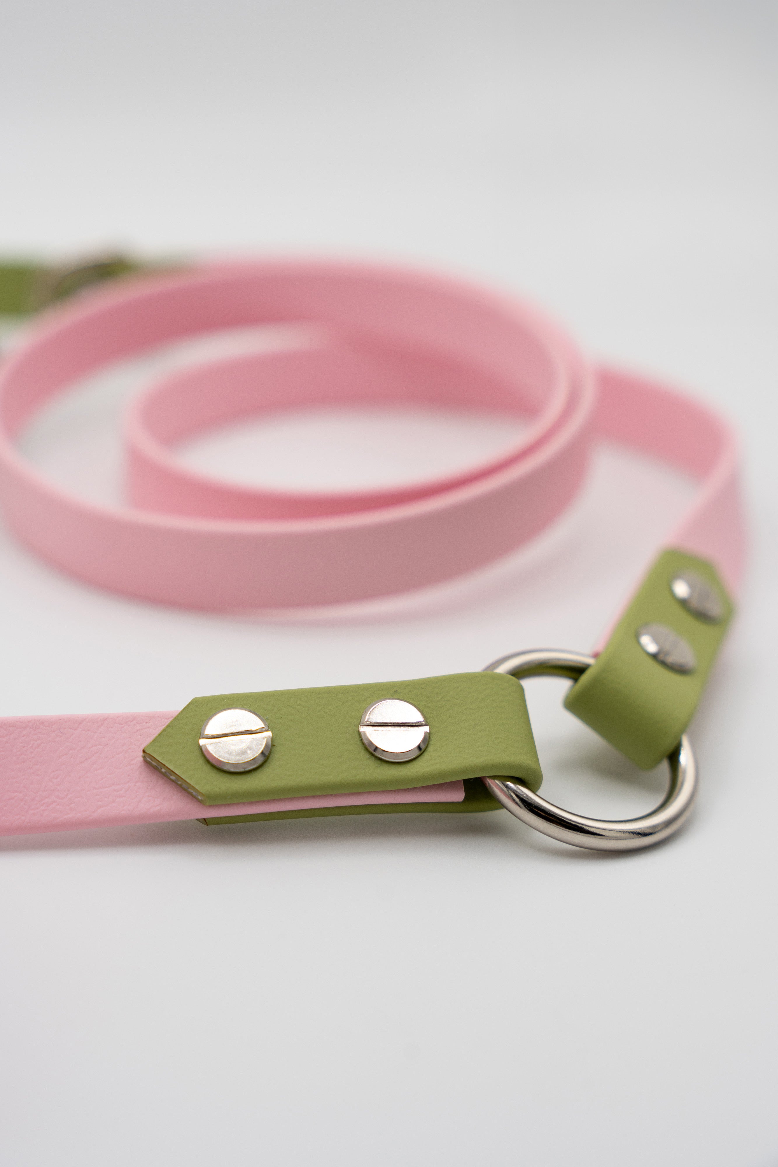 Adventure Leine – Spring Blossom
