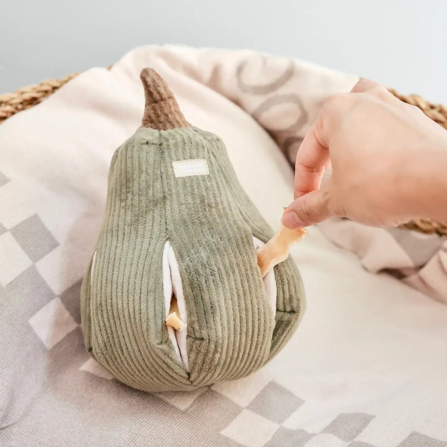 BUTTERNUT / Schnüffelspielzeug