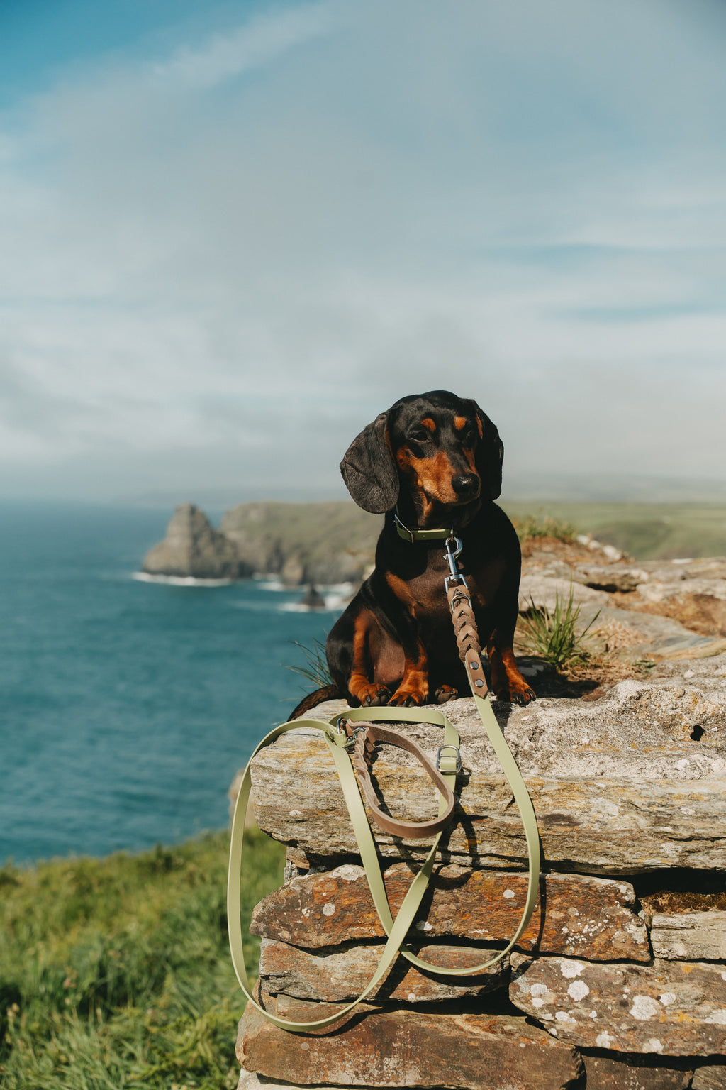 Noble Leine – Pistachio Cream