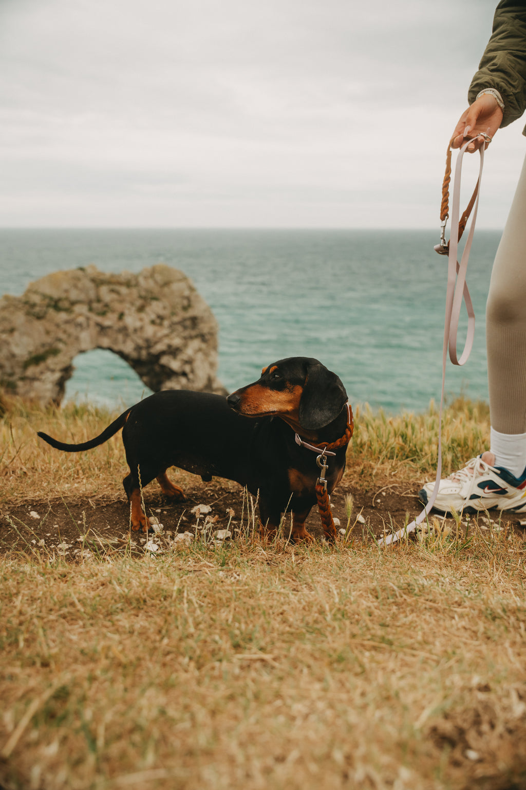 Noble Leine – Lavender Oak