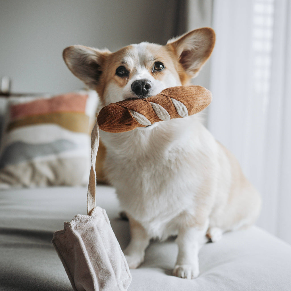 MINI-BAGUETTE / Schnüffelspielzeug