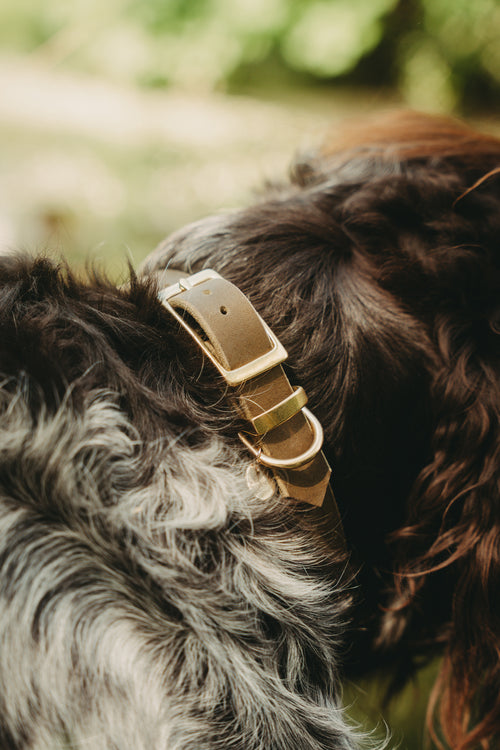 Classic Heritage Halsband - Dunkelbraun